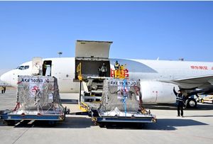 Tariffe di spedizione a basso costo servizio di trasporto aereo di ispezione merci spedizioniere costo di spedizione cina a <span class=keywords><strong>Karachi</strong></span> - Product Image 3