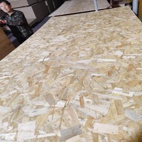 Panneau OSB3 - Épaisseur 9-25 mm - Résistant à l'humidité - Revêtement structurel - Certifié CE - Découpe sur mesure disponible