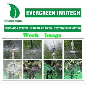Cabezal de Sistema de <span class=keywords><strong>Riego</strong></span> por Microaspersión, Dispositivo de <span class=keywords><strong>Riego</strong></span> por Goteo Antiobstrucción, <span class=keywords><strong>Material</strong></span> PP, Diámetro de 1.0 mm, para Uso en Jardín - Product Image 6