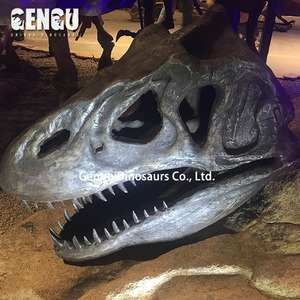 Animatronic modelo interior patio de recreo decoración fibra de vidrio T Rex cráneo fósil - Product Image 6