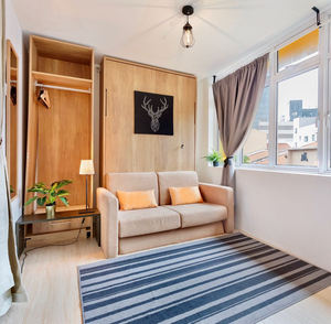 Wall <strong>Bed</strong> Mechanism <strong>Used</strong> for Wall Mounted Murphy <strong>Bed</strong> with <strong>Sofa</strong> - Product Image 6