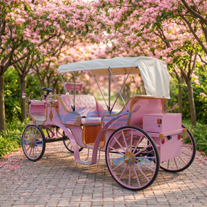 Voiture de tourisme rose économique de haute qualité 2026, voiture multi-usage à double rangée, voiture électrique classique, rétro, prix d'usine - Product Image 1