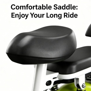Contrôleur intelligent, accélération fluide, système d'alimentation longue durée, offre en gros, batterie au plomb-acide, vélo électrique - Product Image 3