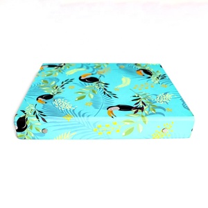 Tùy Chỉnh Văn Phòng Và Trường Học Sử Dụng A4 Tập Tin Thư Mục Nhựa Pp Dễ Thương Màu Tập Tin Thư Mục 6 Vòng Chất Kết Dính Lever Arch Thư Mục Kinh Doanh - Product Image 6