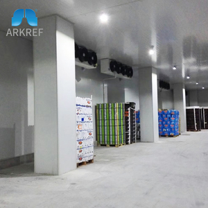 Tiết Kiệm Năng Lượng Lạnh Tươi Khoai Tây Táo Trái Cây Rau Đúc Sẵn Lạnh Lưu Trữ Lạnh Phòng Kho Giá - Product Image 2