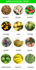 Engrais pour feuillage Kenvos, favorise la croissance et l'amélioration des légumes et des fruits, engrais liquide à haute teneur en potassium, personnalisable - Product Image 4