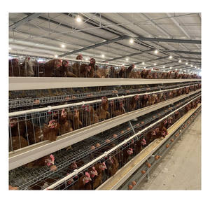 Tel örgü poulailler katlanabilir tavuk kafes 1880*2320*1830 kümesleri - Product Image 4