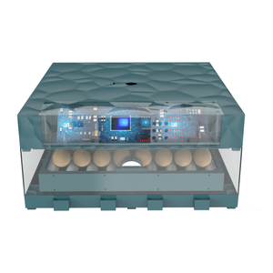 Incubadora de huevos con capacidad para 100 huevos, máquina de incubación de pollos y aves de corral, Incubadora de huevos