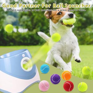 Jouets à mâcher pour chiens personnalisés avec logo, écologiques, en gros, balles de tennis en caoutchouc pour animaux de compagnie, jouets interactifs pour chiens - Product Image 5