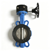 Válvula de Mariposa Manual de Hierro Dúctil PN16 con Asiento de EPDM DN50-DN600 para Control de Flujo Industrial de Agua