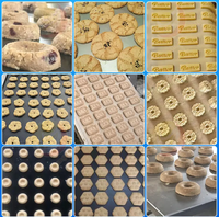 Offre de prix d'usine pour une machine à déposer des biscuits multifonctionnelle