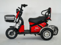 Three Wheels Electric Bike Motorcycle 600W 800W Electric Passenger Tricycle With Baby Seat