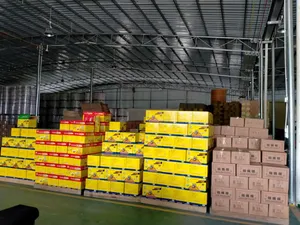 Siêu rat Keo Bẫy an toàn và thuận tiện hộ gia đình trong nhà chất lượng tốt và nó được sử dụng như mục đích của nó dính bẫy keo cho chuột - Product Image 6