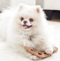 Jouet à mâcher populaire pour chien en imitation os, bâton durable pour le nettoyage des dents, jouet d'auto-entretenissement pour animaux de compagnie pour chiens de petite et moyenne taille