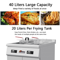 Plancha Máquina Freidora De Aceite Papas Frita Pollo Platano Alto Rendimiento Comercial Industriales Electrica Industrial Dobles