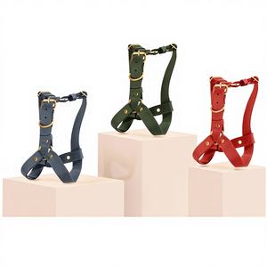 Arnés de Piel para Perros Pequeños y Grandes, Regalo para Mascotas - Product Image 1