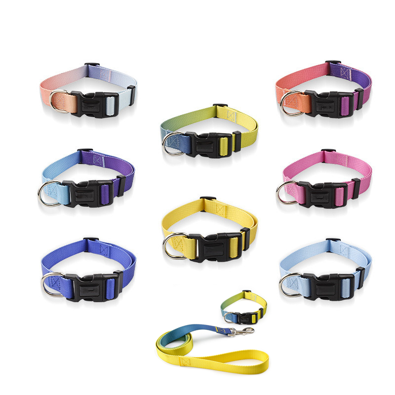 Лидер продаж на заказ на Amazon, ошейник для домашних животных, Тяговая веревка для костюма, веревка для прогулок для собак и кошек, градиентный цвет, однотонный нейлоновый ошейник для собак, роскошный