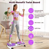 RS Planche de torsion de taille en acier durable, appareil d'exercice abdominal et de renforcement du tronc pour entraînement sportif à domicile, portable