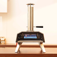 Nouveau design 2-en-1 intérieur/extérieur four à pizza domestique GPL gaz granulés de bois fer métal pliant charbon de bois gril maison cuisine camping