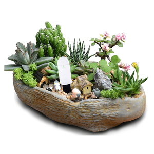 Xiaomi mijia-capteur intelligent d'<span class=keywords><strong>humidité</strong></span> du sol, polyvalent, projecteur intelligent, mesure précise de l'<span class=keywords><strong>humidité</strong></span> instantanée, <span class=keywords><strong>pour</strong></span> plantes et fleurs - Product Image 3