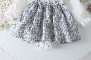 Vêtements d'automne pour bébé, collection Printemps-Été, Robe longue à manches longues style Princesse <span class=keywords><strong>Triangle</strong></span> Ha Yi pour bébé fille, Jupe à volants, Vêtements d'extérieur + chapeau - Product Image 5