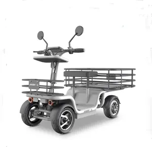 Scooter électrique à quatre roues à chargement ouvert, à vendre au japon et en corée