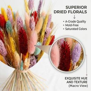 Bouquet <span class=keywords><strong>de</strong></span> fleurs séchées arc-en-ciel style Ins, mini herbe <span class=keywords><strong>de</strong></span> lapin, tiges <span class=keywords><strong>de</strong></span> <span class=keywords><strong>blé</strong></span>, décoration bohème, <span class=keywords><strong>centre</strong></span> <span class=keywords><strong>de</strong></span> <span class=keywords><strong>table</strong></span> - Product Image 3