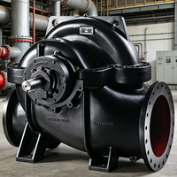 Pompe à eau séparée LS 1000-700-815F 4F2DQABQE1 450/8 avec roulement séparé, garantie 1 an, principalement utilisée pour l'alimentation en eau des bâtiments commerciaux
