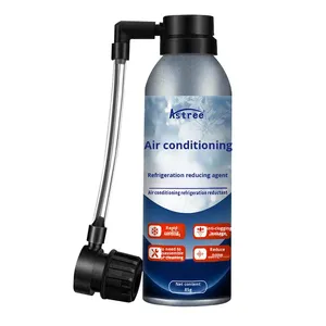 Spray de <span class=keywords><strong>Mantenimiento</strong></span> y Reducción de Temperatura para Compresores de Aire Acondicionado de Automóviles Astree de Alta Calidad y Durabilidad - Product Image 5