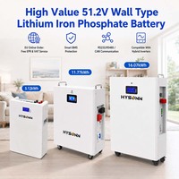 Batterie au lithium fer phosphate Hysonn haute performance 51,2 V de type mural pour stockage solaire domestique, destinée aux distributeurs et aux projets OEM