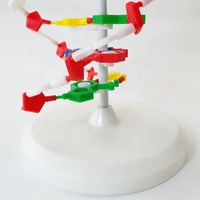Modèle d'ADN/Modèle biologique Enseignement médical Modèle de structure d'ADN à double hélice biologique