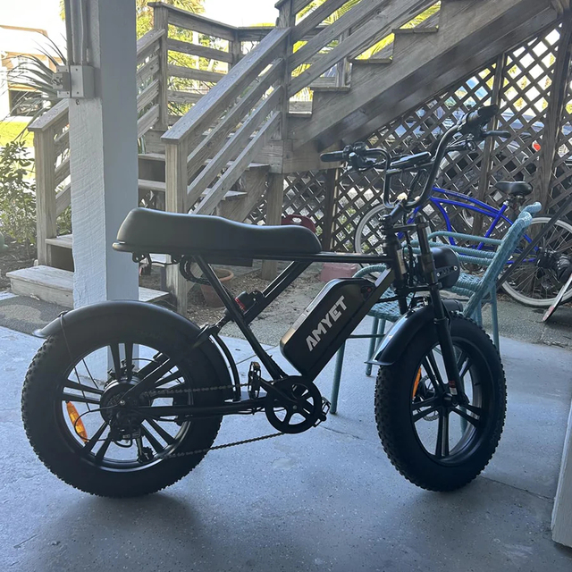 Two-Wheeler Suspension Electric Bicycle 1000W Motor E-bike 5-speed Alloy Steel Frame Electric Hybrid Bike