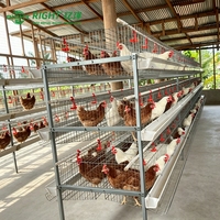 Cage à volailles de type H à haute densité, en acier galvanisé à chaud, longue durée de vie, 3 niveaux, 4 portes, 96 oiseaux, équipement avicole