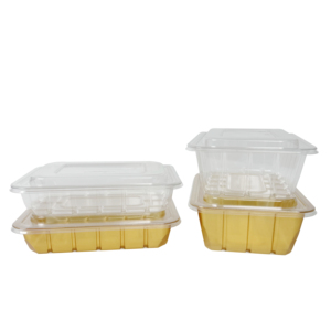 Contenedores de Sushi Dorados al por Mayor, Cajas de Plástico PET de Grado Alimenticio para Llevar Sushi, Suministros para Restaurantes Asiáticos - Product Image 6