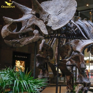 Parque de dinosaurios dinosaurio fósil real T Rex esqueleto para la venta - Product Image 5