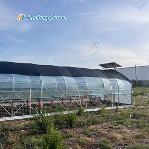 Gallinero Móvil de 15x5m con Ruedas para 700-900 Pollos, Sistema de Alimentación Automática, Gallinero para Pollos de Engorde y Ponedoras, Fácil Montaje - Product Image 6