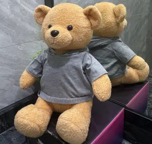 Personalized Wear a T-shirt Plush Teddy Bears, Elevate Your Brand with Custom Logo Stuffed Animals