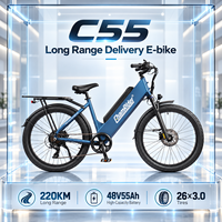 Sepeda Kargo Listrik Grosir Pabrik Chamrider 48V 55Ah 26x3.0 Ban Anti Bocor 80Nm Torsi Rem Cakram Hidrolik C 55