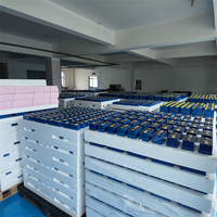 Approvisionnement direct usine : Cellule de batterie prismatique LiFePO4 3,2 V à excellente cohérence pour système de stockage d'énergie