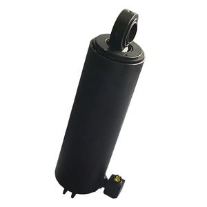 Su misura Mini escavatore agricoltura auto ascensore forbice camion della spazzatura sterzo fabbrica vendita cilindri idraulici a basso costo - Product Image 2