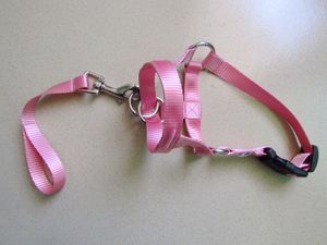 Bozales ajustables de nailon suave para perros, cómodos collares multicolores para entrenamiento antimordeduras para mascotas, duraderos y duraderos - Product Image 5