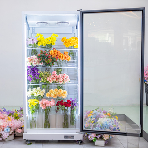 Refrigerador Exhibidor de Flores con Puerta de Vidrio, Refrigerador Comercial para Floristería - Product Image 3