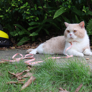 ペット用品 犬用アクセサリー ネオプレン製犬用リードと首輪セット ネオプレンポリエステル製 カスタム印刷入り犬用リードセット - Product Image 4