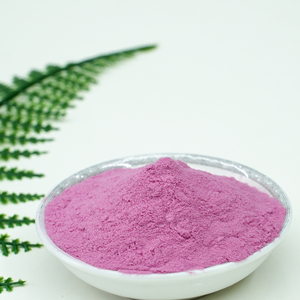 Materia Prima de Arándanos Frescos Enteros, Polvo de Arándanos Instantáneo de Grano Fino Secado por Aspersión - Product Image 3