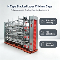 Système de cages à poulets en batterie entièrement automatique de type H à étages superposés pour ferme avicole commerciale