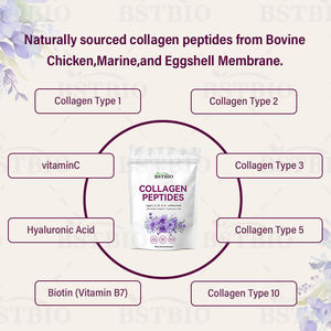 Compléments BSTBIO OEM : Biotine, Acide Hyaluronique, Vitamine C, Poudre de Peptides de Collagène <span class=keywords><strong>Multi</strong></span>-Sources - Product Image 3