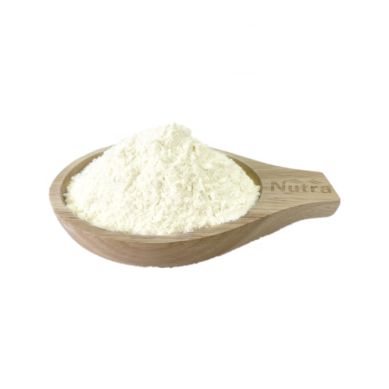 Good Quality Organic Watermelon Seed Contains Protein 80% Supplier