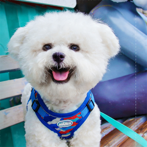 YooGo YG-895 Rompi Harness Hewan Peliharaan Berbahan Bernapas dengan Bantalan Motif Bunga untuk Kucing & Anjing Desain Mewah yang Dapat Di Personalisasi - Product Image 6