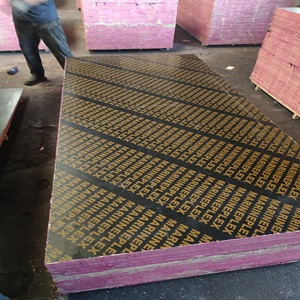 Contrachapado de construcción con película, venta de contrachapado de hormigón de alta calidad - Product Image 6