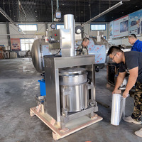 Verticale Hydraulische Sappers Machine Industriële Koude Groente En Fruit Juicer Filterpers Voor Wijn